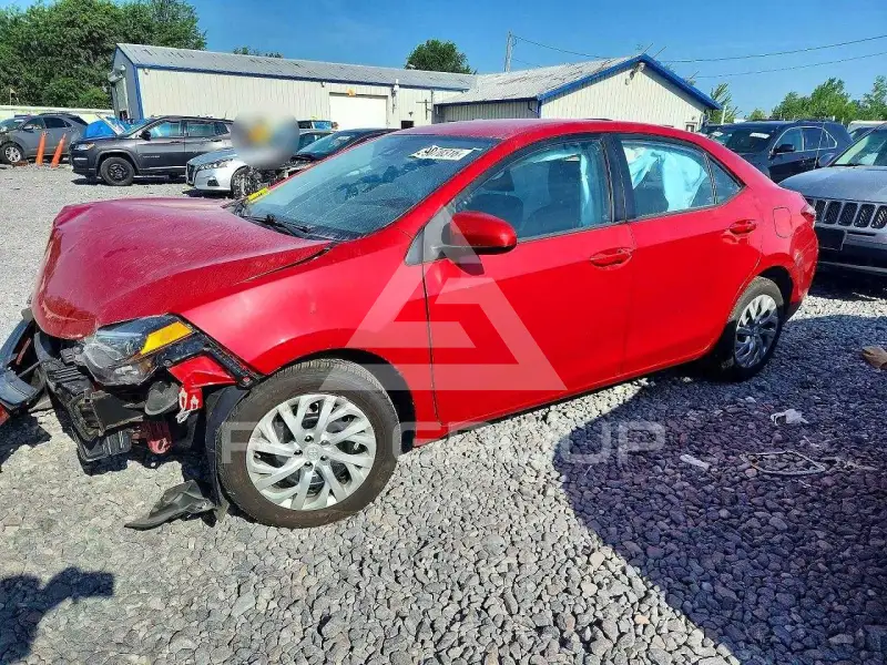2019 Toyota COROLLA фото
