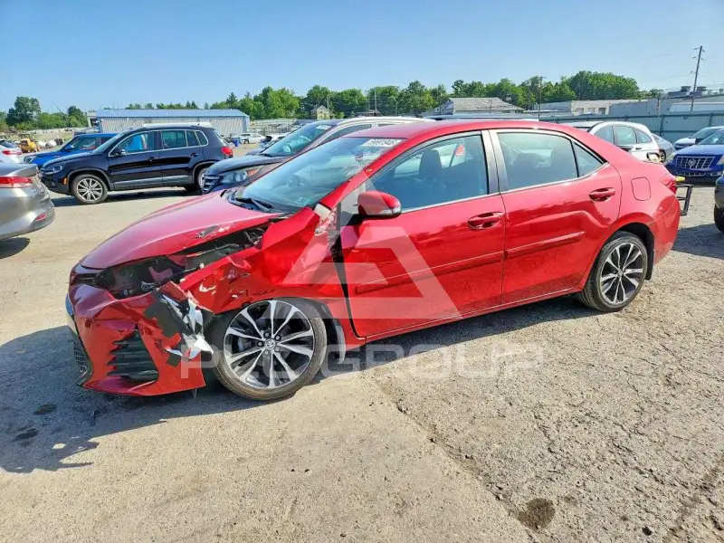 2019 Toyota COROLLA фото
