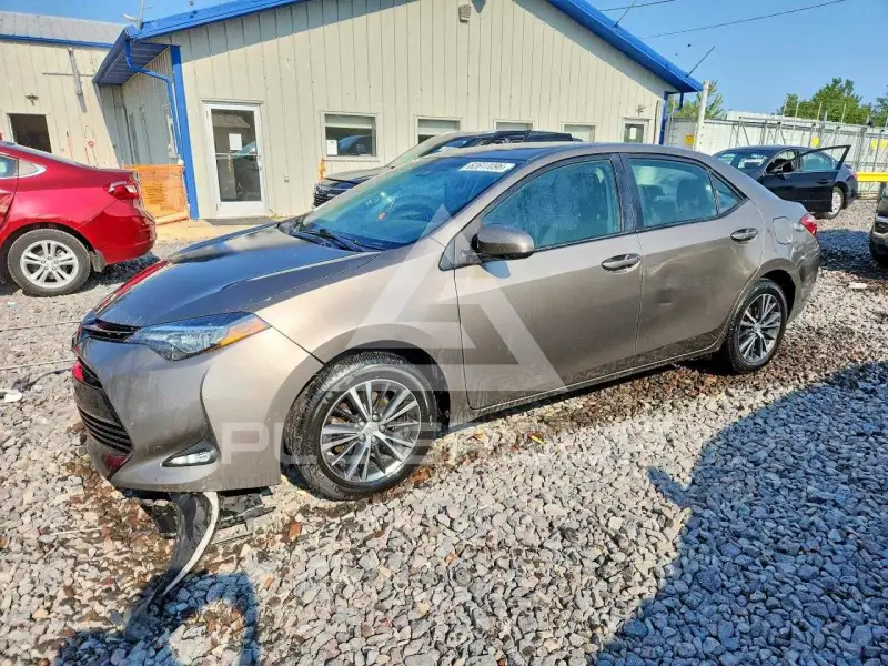2019 Toyota COROLLA фото