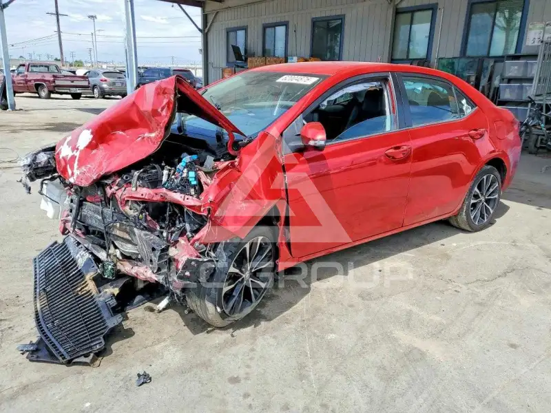 2019 Toyota COROLLA photo
