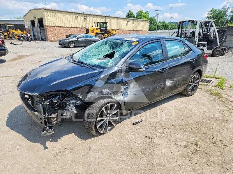 2019 Toyota COROLLA photo