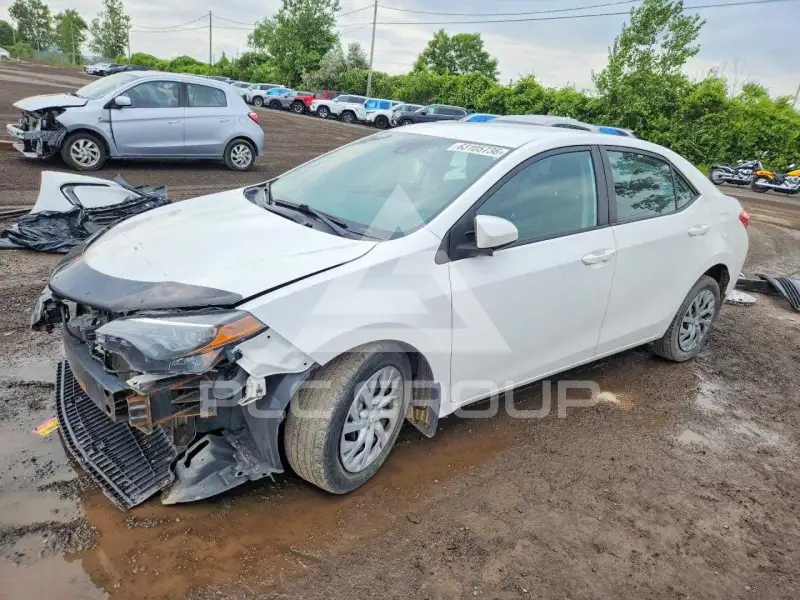 2019 Toyota COROLLA photo