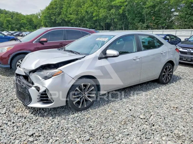 2019 Toyota COROLLA photo