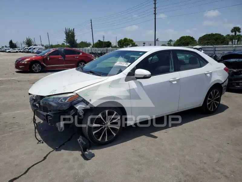 2019 Toyota COROLLA photo