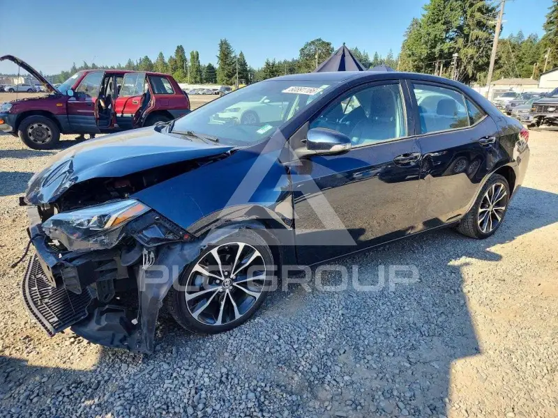2019 Toyota COROLLA photo