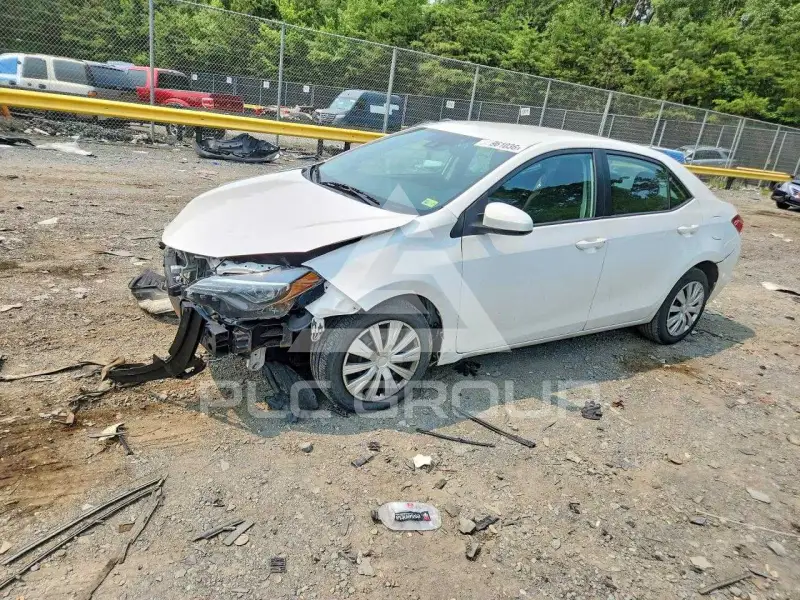 2019 Toyota COROLLA photo