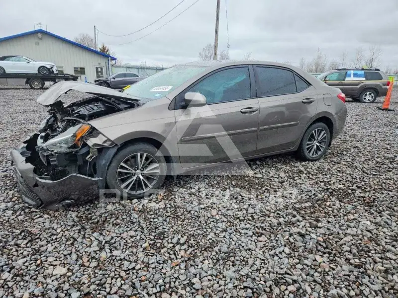 2019 Toyota COROLLA фото