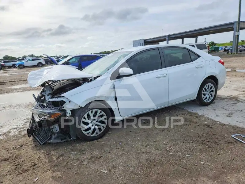2019 Toyota COROLLA photo