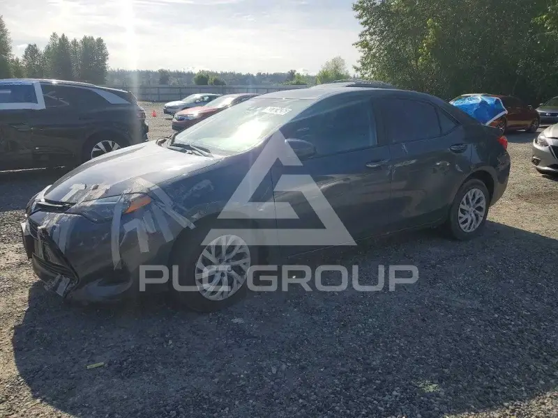 2019 Toyota COROLLA photo