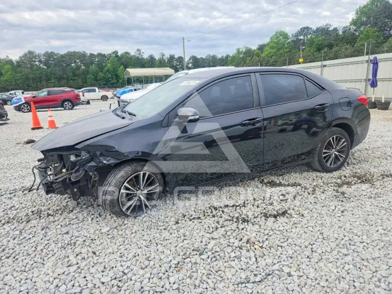 2019 Toyota COROLLA фото