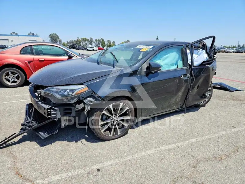 2019 Toyota COROLLA photo