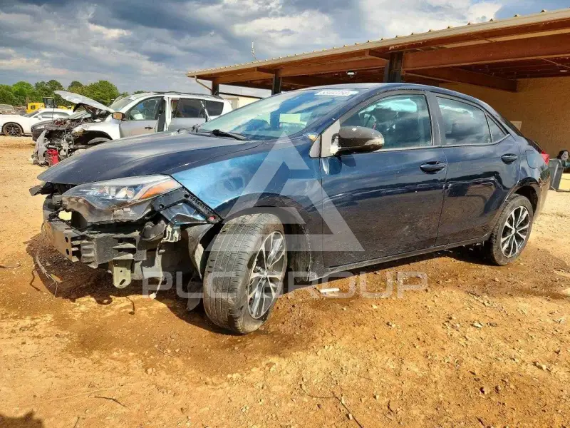 2019 Toyota COROLLA photo