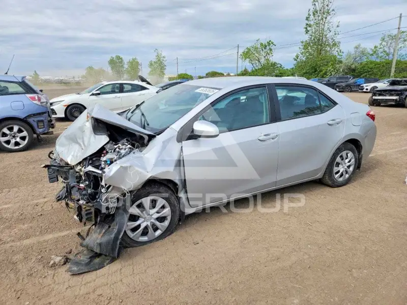 2019 Toyota COROLLA photo