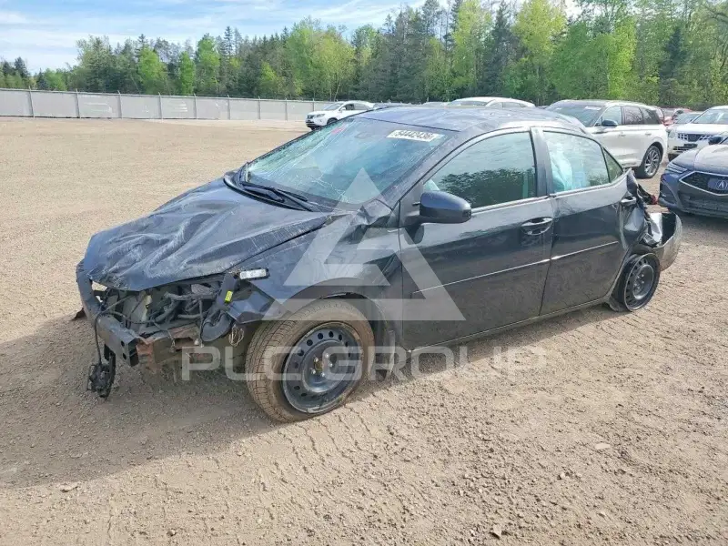 2019 Toyota COROLLA photo