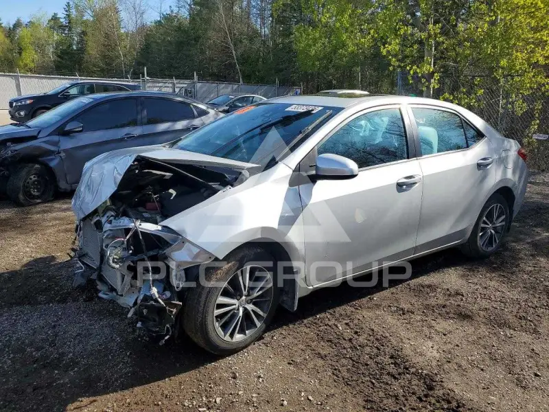 2019 Toyota COROLLA photo