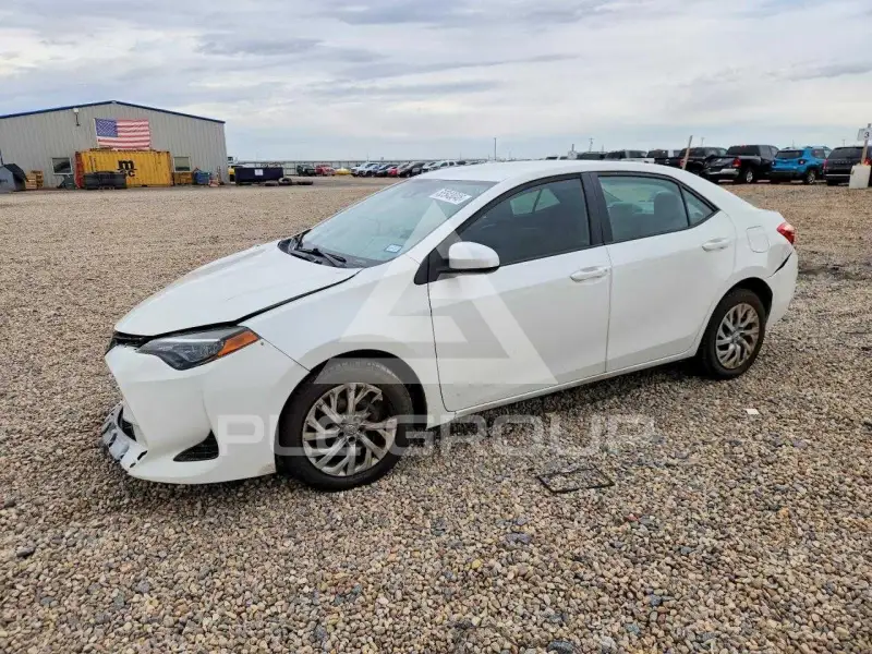 2019 Toyota COROLLA photo
