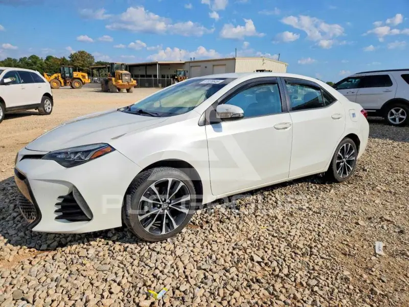 2019 Toyota COROLLA photo