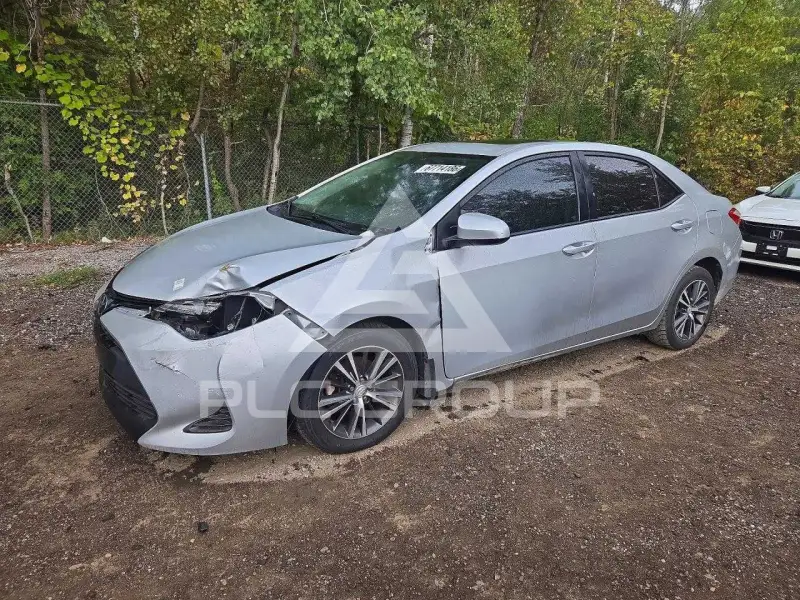 2019 Toyota COROLLA photo