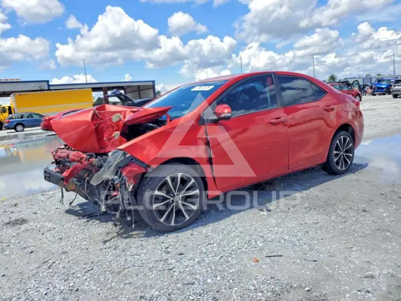 2019 Toyota COROLLA photo