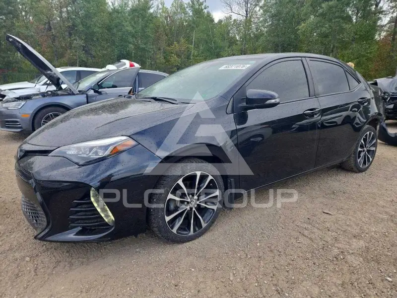 2019 Toyota COROLLA photo