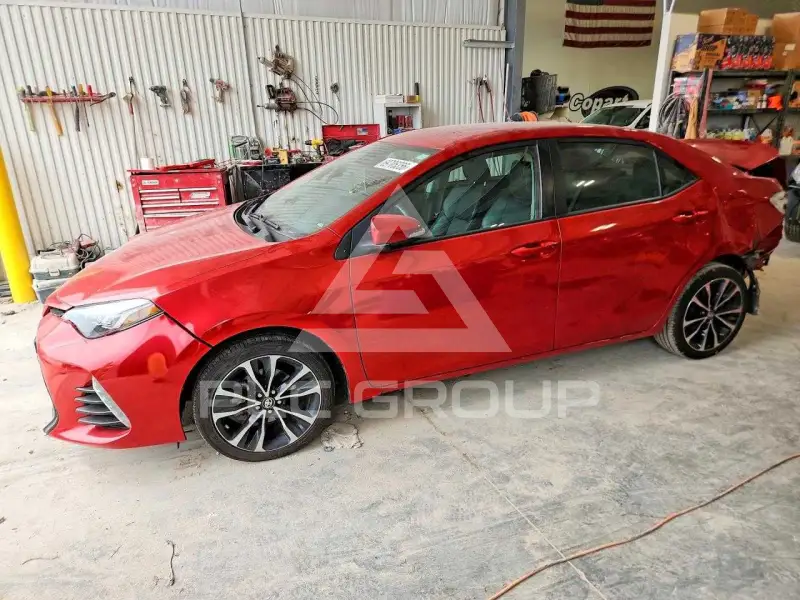 2019 Toyota COROLLA фото