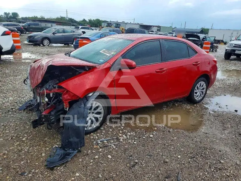 2019 Toyota COROLLA photo