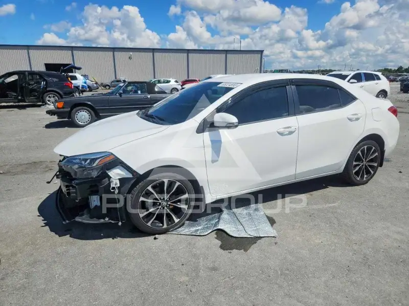 2019 Toyota COROLLA photo
