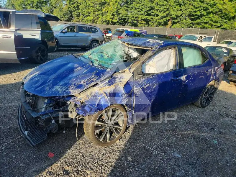 2019 Toyota COROLLA фото