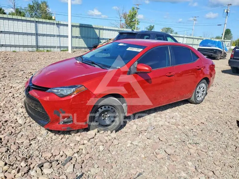 2019 Toyota COROLLA photo