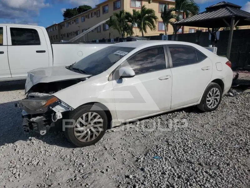 2019 Toyota COROLLA photo