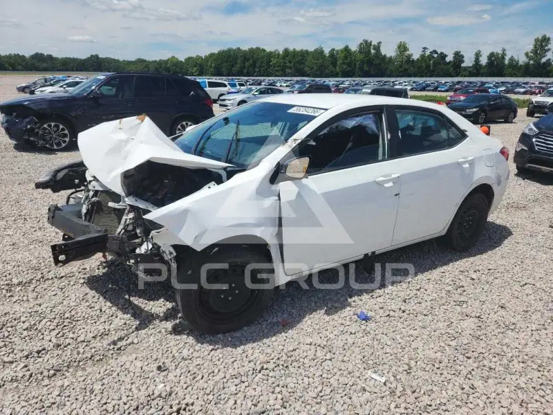 2019 Toyota COROLLA photo