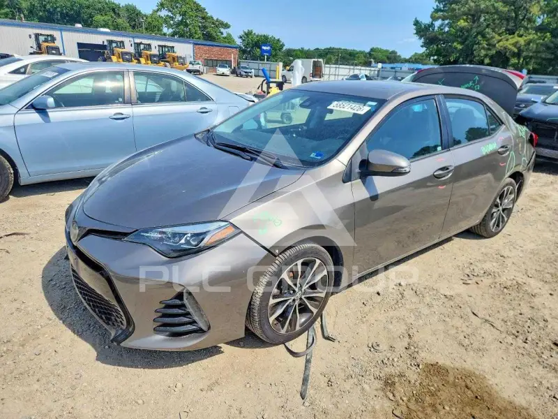 2019 Toyota COROLLA photo