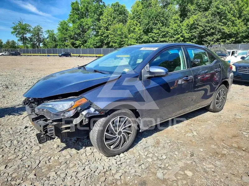 2019 Toyota COROLLA photo