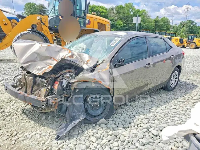 2019 Toyota COROLLA фото