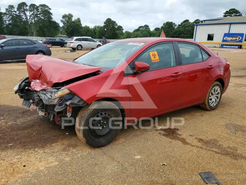 2019 Toyota COROLLA photo