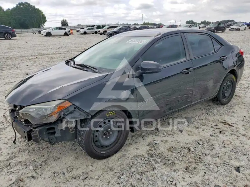 2019 Toyota COROLLA photo