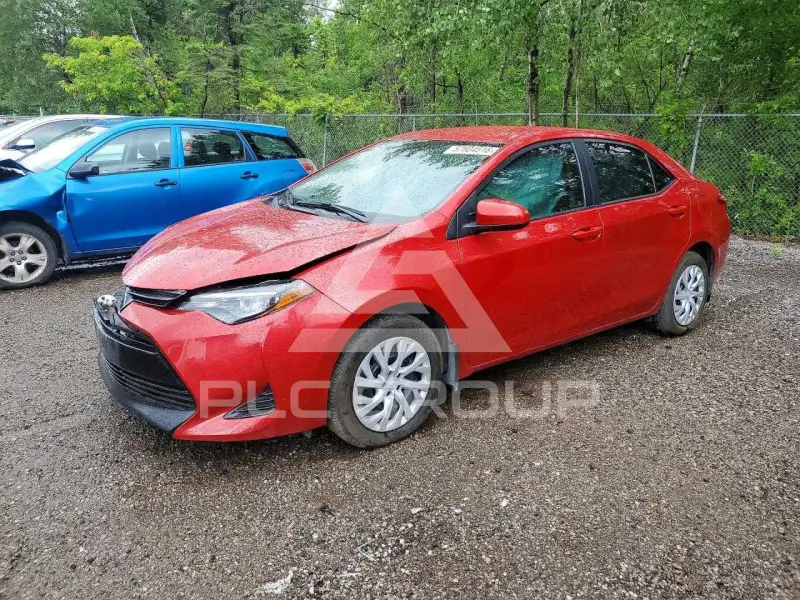 2019 Toyota COROLLA фото