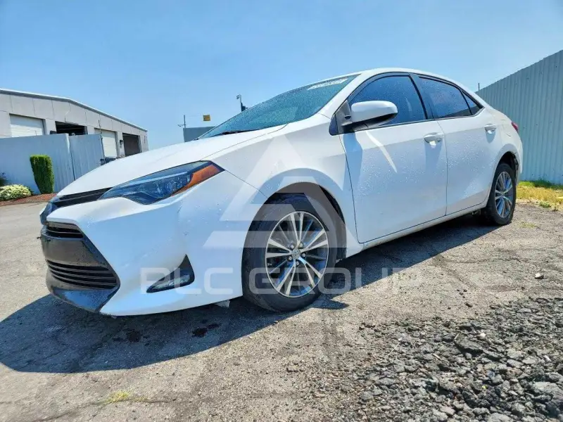 2019 Toyota COROLLA photo