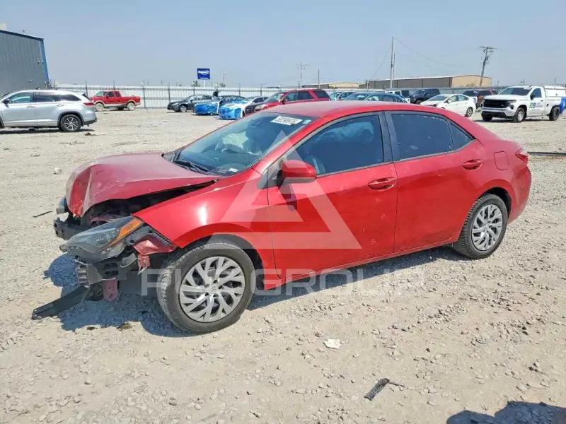 2019 Toyota COROLLA фото