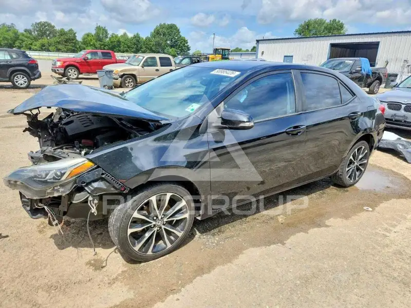 2019 Toyota COROLLA photo