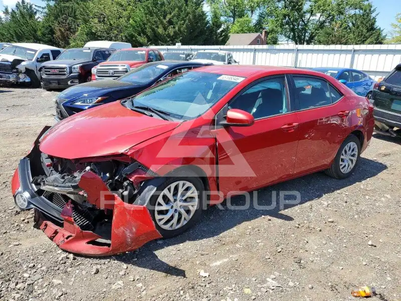 2019 Toyota COROLLA фото