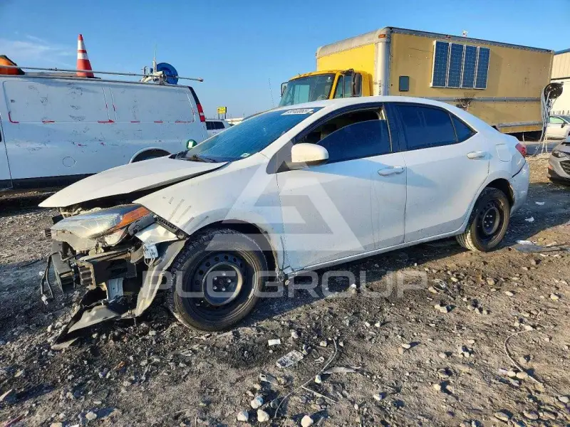 2019 Toyota COROLLA photo