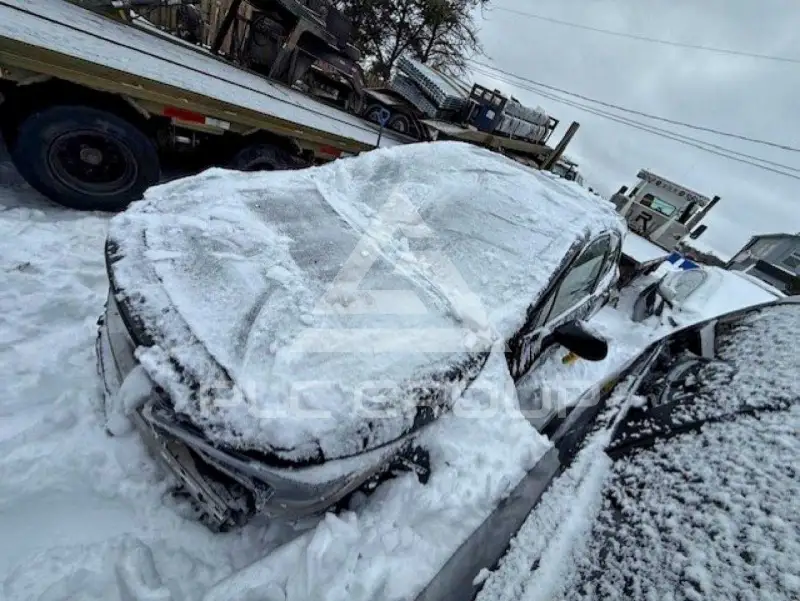 2019 Toyota COROLLA фото