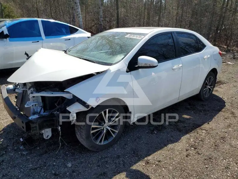 2019 Toyota COROLLA фото