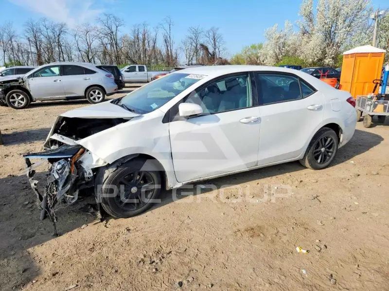 2019 Toyota COROLLA фото