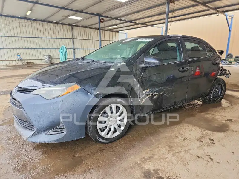 2019 Toyota COROLLA photo