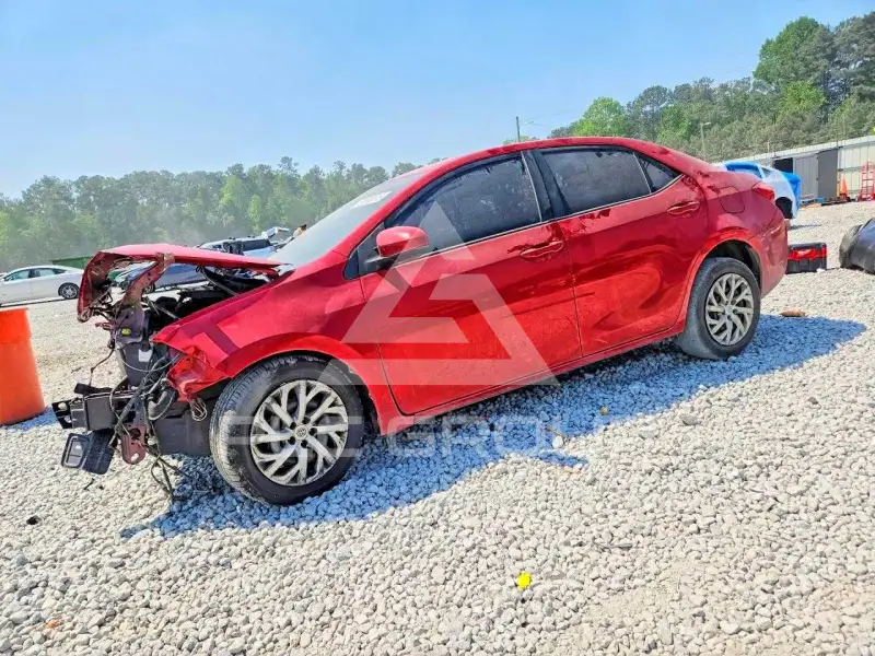 2019 Toyota COROLLA фото