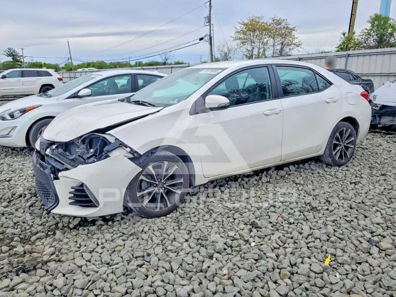 2019 Toyota COROLLA photo