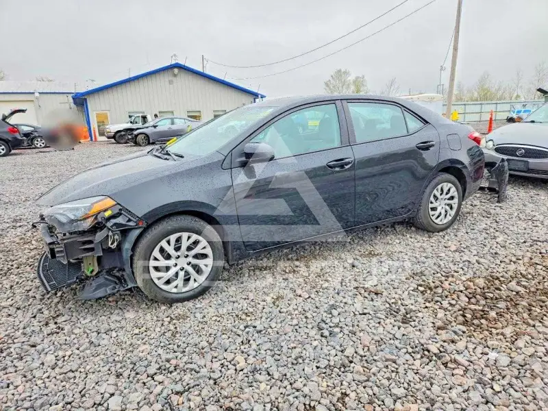 2019 Toyota COROLLA фото