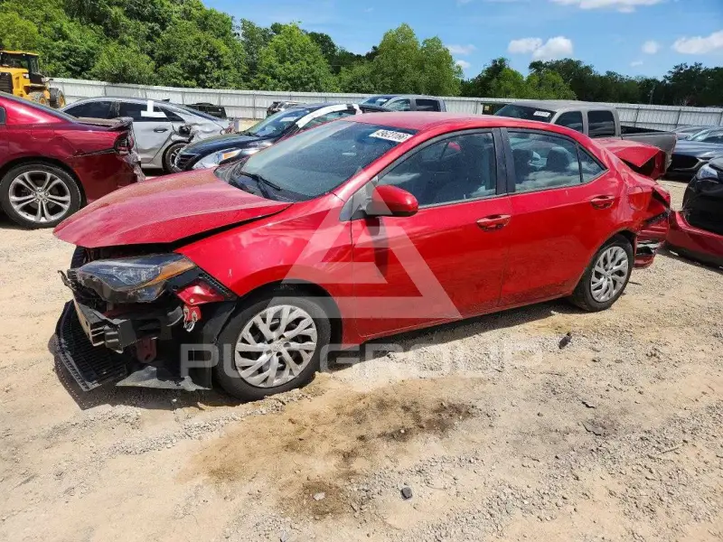 2019 Toyota COROLLA фото